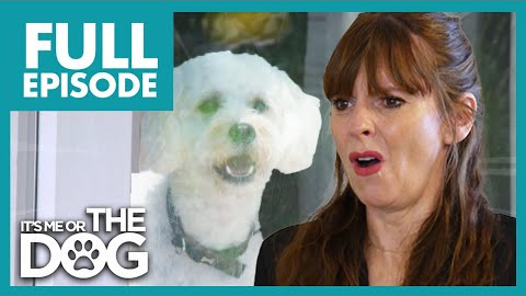 Dog With Separation Anxiety Can't Be Left On His Own | Full Episode 103 | It's Me or the Dog