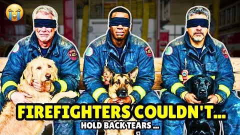 Blindfolded Firefighters Let Shelter Dogs Choose Their Owners And THIS Happened 💔