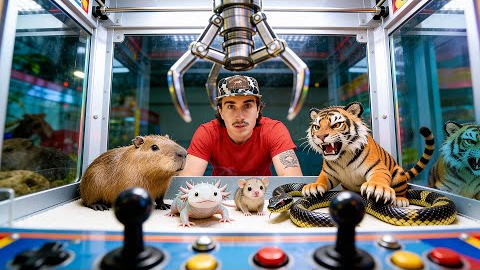I Found a Live Animal Claw Machine Off the Web…