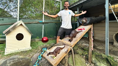I Built NEW Enclosure For My PET OTTERS!!