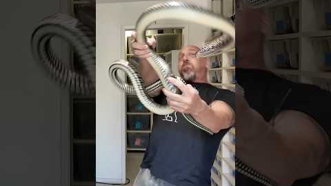 This Snake Terrified Millions… And It’s NOT Venomous #shorts  #snake