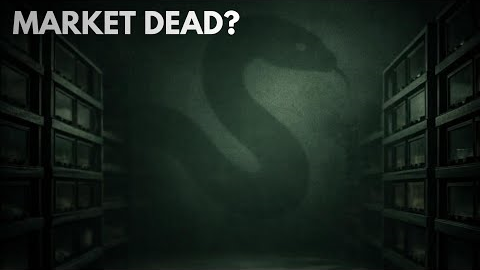 The Reptile Market Isn’t Dead — It’s Changing