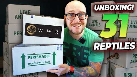 Unboxing 31 NEW Reptiles I've Never Had Before! These Snakes are Insane!