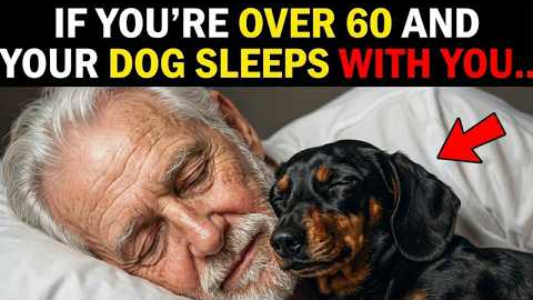 If You Sleep With Your Dog Every Night, THIS Will Happen