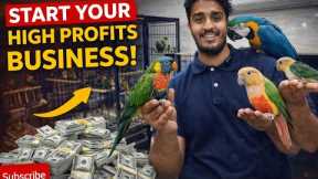 MAPLE EXOTIC PETS SHOP ! #Navimumbai #petshop #petkeepers 