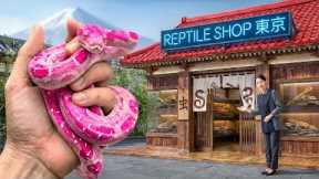 Private Tour of Japan's Secret Reptile Store