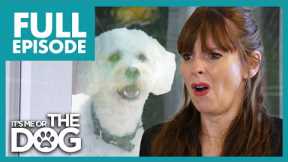 Dog With Separation Anxiety Can't Be Left On His Own | Full Episode 103 | It's Me or the Dog