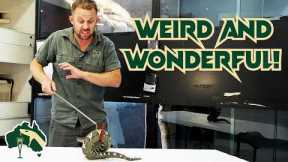 Most BIZARRE Exotic Reptiles Arrive At Park! | Venom Diaries