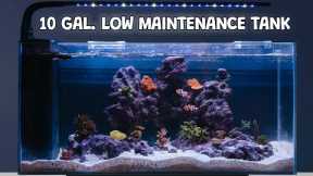 Fish Tank Maintenance: How to Have a Nearly Maintenance Free Tank! JBJ Rimless Tank Set up and Build