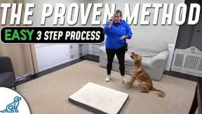 3 Steps That Can Teach ANY Dog ANY Skill