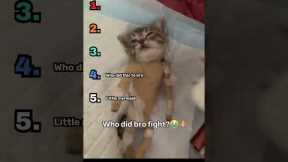 Ranking Best Cat Videos Part 3!  #funny #cat  #cute