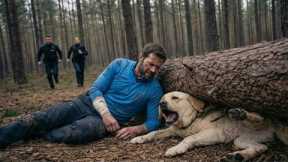 Brave Dog Rescues Camper Owner Trapped in the Woods While Camping