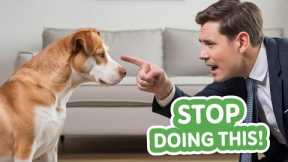 The Most Common Dog Training Myths (Debunked)