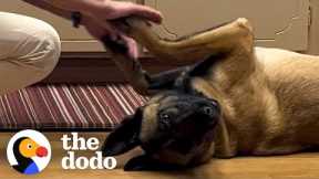 Rescue Dog Learns To Trust Again With Help From Her Grandparents | The Dodo