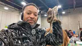 “Jackson Reptile Expo 2026 | Michigan’s Exotic Reptile Event 🐍”