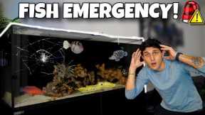 We Had An EMERGENCY With My SALTWATER AQUARIUM!! 