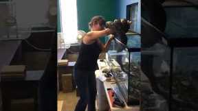 what did she do wrong here? Snake bites woman, and wraps her up.