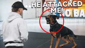 Family's Aggressive Dog Gets One Final Chance to Live