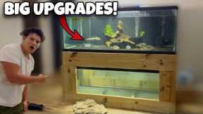 Fish Room Maintenance Day | Water Changes, Plumbing, and Tank Updates