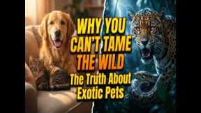 Why You Can't Tame the Wild: The Truth About Exotic Pets