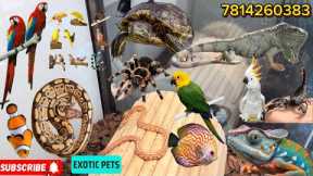 Exotic Pets Ludhiana 😱💯 Full Vlog