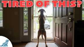 How to STOP Your Dog BARKING at the Door (Real-World Training)