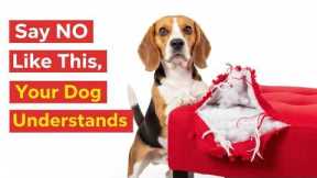 How to Make Your Dog Obey Instantly: Secret Professional Training Tips