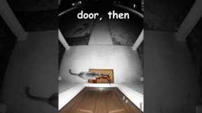 This Cat Keeps Bringing Dead Snakes to One House! #cats #shorts  #animals