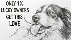 Dog Psychology | 10 Rare Behaviors Dogs Show ONLY When They Love You Deeply