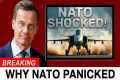 NATO Didn’t Plan for This Swedish