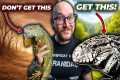 5 Reptiles You THINK You Want But