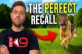 Teach Your Dog a ROCK-SOLID Recall Ft.
