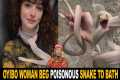 Oyibo Woman Beg Her Poisonous Snake