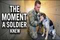 Here's What a Soldier Saw in this Dog 