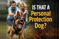 Real Protection Dog - Really?