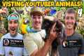 Visiting EVERY EXOTIC Animal