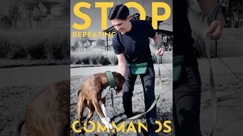 How to teach any dog to actually respond to commands. (Fast!) #dogtraining  #puppytraining