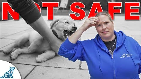 Avoid THIS Bad Nipping and Biting Dog Training Advice