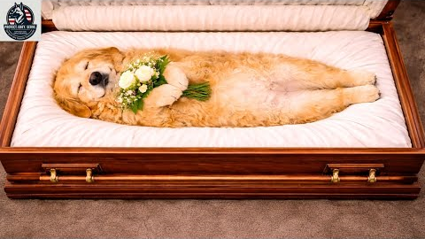 Goodbye, dear Ruby!  top best dog training techniques.