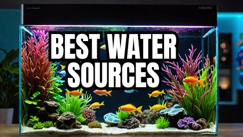 Here Are The BEST Fish Tank Water Sources