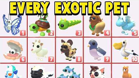 Every EXOTIC Pet In Adopt Me! Roblox