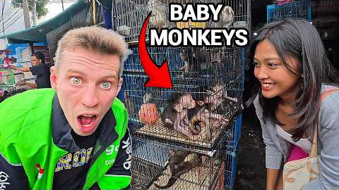 Inside an ILLEGAL Exotic Animal Market in Jakarta (Shocking!) 🇮🇩