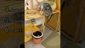 Ranking Best of Unreliable Cat Moms #cats #shorts #viral