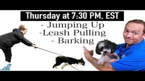 3 Dog Training Steps To Stop ANY Unwanted Behavior!