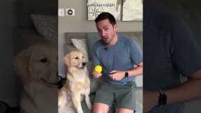 The 5 steps to teach your dog fetch!