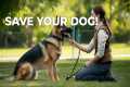 Dog Training Commands That Can Save