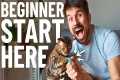 How to Train a Cat | EASY BEGINNER