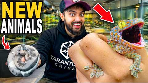 New Animals For My Reptile Zoo!