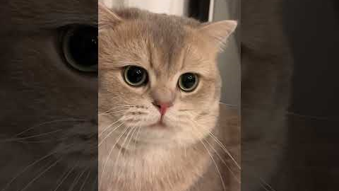 The non-stop moewing machine