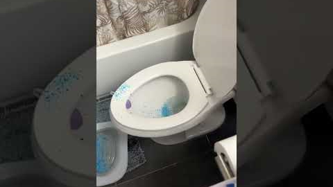 Kitty Potty Training Fail!